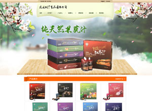 树丫食品官网